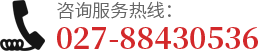 武漢超聲波脫硫機